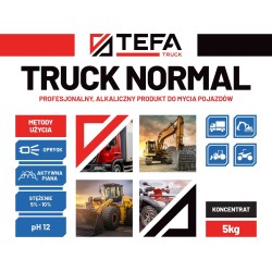 TEFA Truck Normal