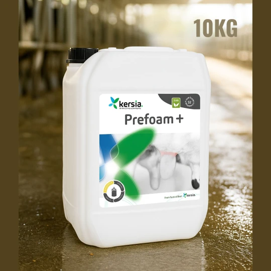 Kanister 10 kg PREFOAM + z kompleksem LSA, stojący w hali udojowej, gotowy do czyszczenia i dezynfekcji strzyków krów mlecznych