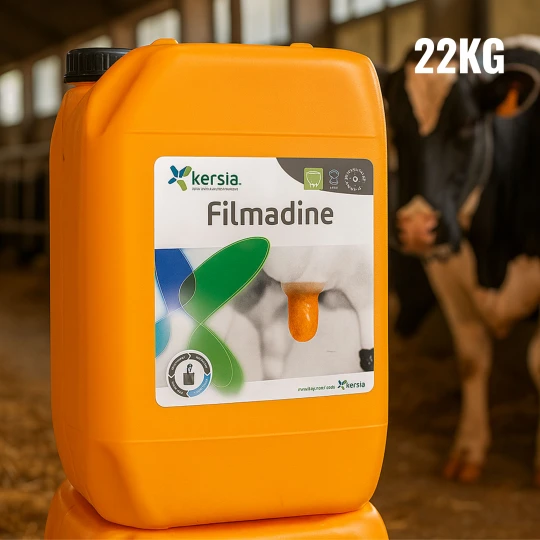 Duży kanister Filmadine 22 kg stojący w gospodarstwie mlecznym, z wyraźnie widoczną pomarańczową pianką na strzykach krowy w tle