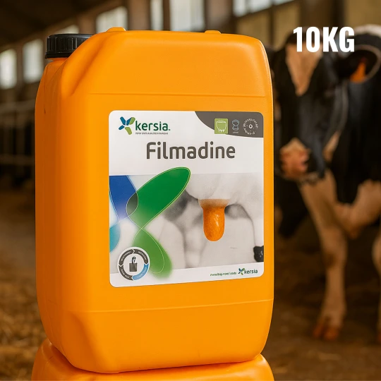 Kanister Filmadine 10 kg z oryginalną etykietą na tle jasnej obory, w pobliżu krowy mlecznej z pomalowanymi strzykami