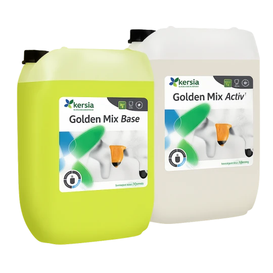 Dwa baniaki KERSIA Golden Mix ACTIV 10kg + BASE 10kg