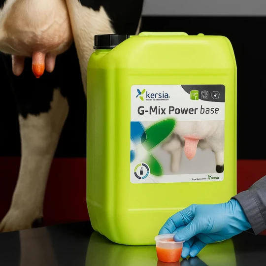 Baniak profesjonalnego preparatu do dippingu wymion Kersia G-Mix Power Base o pojemności 19kg stoi obok krowy, której wymiona są zamoczone w płynie, a obok dłoń trzyma kubeczek do dippingu, co ukazuje zastosowanie produktu do dezynfekcji w hodowli by