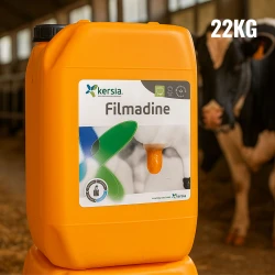 Duży kanister Filmadine 22 kg stojący w gospodarstwie mlecznym, z wyraźnie widoczną pomarańczową pianką na strzykach krowy w tle