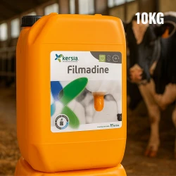 Kanister Filmadine 10 kg z oryginalną etykietą na tle jasnej obory, w pobliżu krowy mlecznej z pomalowanymi strzykami